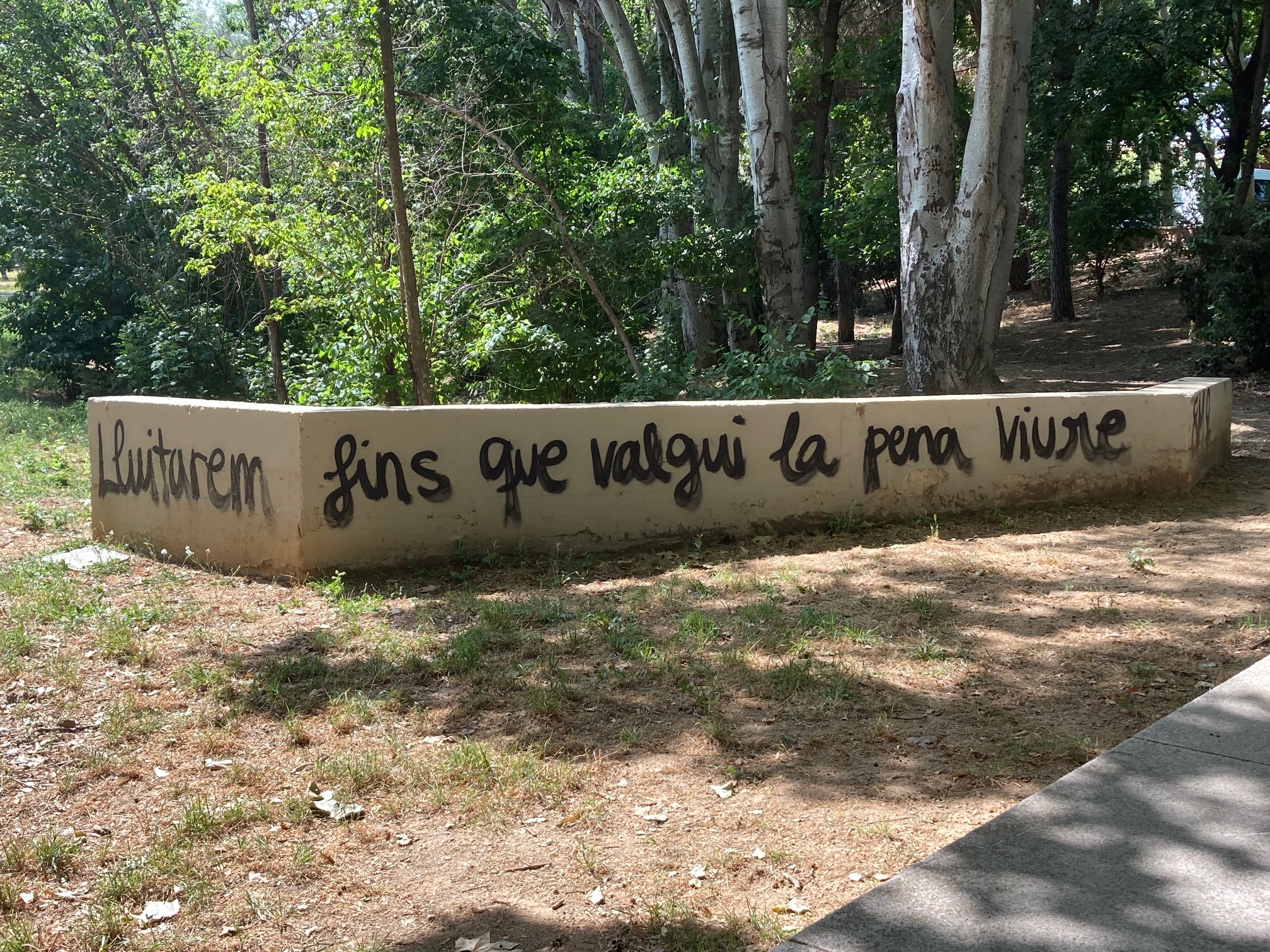 Pintada reivindicativa català